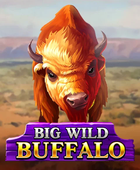 Play Big Wild Buffalo at 24 Slots Casino